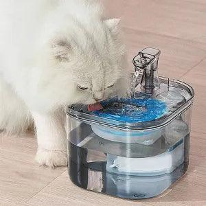 Fonte De Água Para Cães e gatos com Filtro - My Store