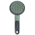 Escova Pente Removedora de Pelos Mortos Gato Cachorro Rasqueadeira Easy Click Pet LR-0085 - My Store